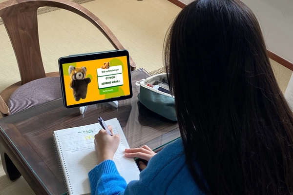 Курс китайского онлайн Flexi RPL